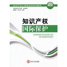 知識(shí)產(chǎn)權(quán)國(guó)際保護(hù) 全球化背景下的挑戰(zhàn)與應(yīng)對(duì)