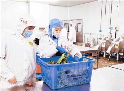 天津確保校園食品安全 監管先行，教育軟件賦能